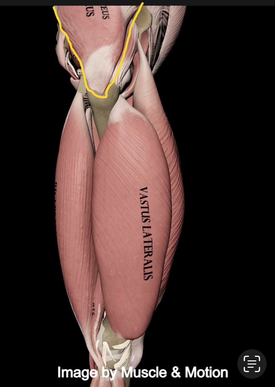 16b513 aa68c89ff61a43ada36a7f6b13c3780bmv2