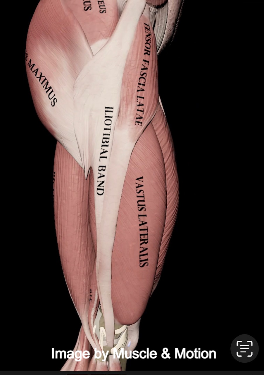 16b513 bdea5184a1064d61a7fcd76e43242f8bmv2